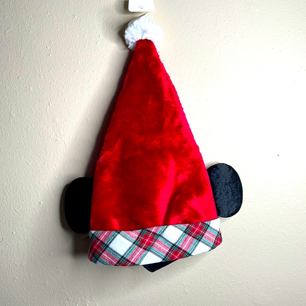 Disney hat Christmas